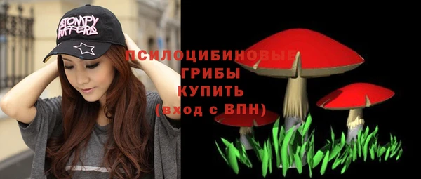хмурый Белоозёрский