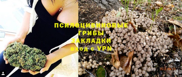 хмурый Белоозёрский